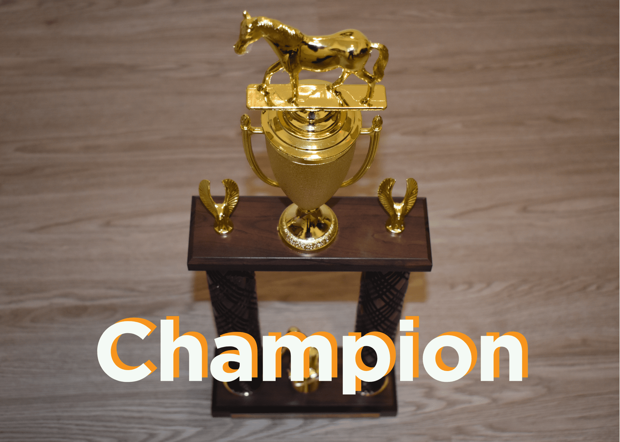 2020-vda-tournament-of-champions-trophy